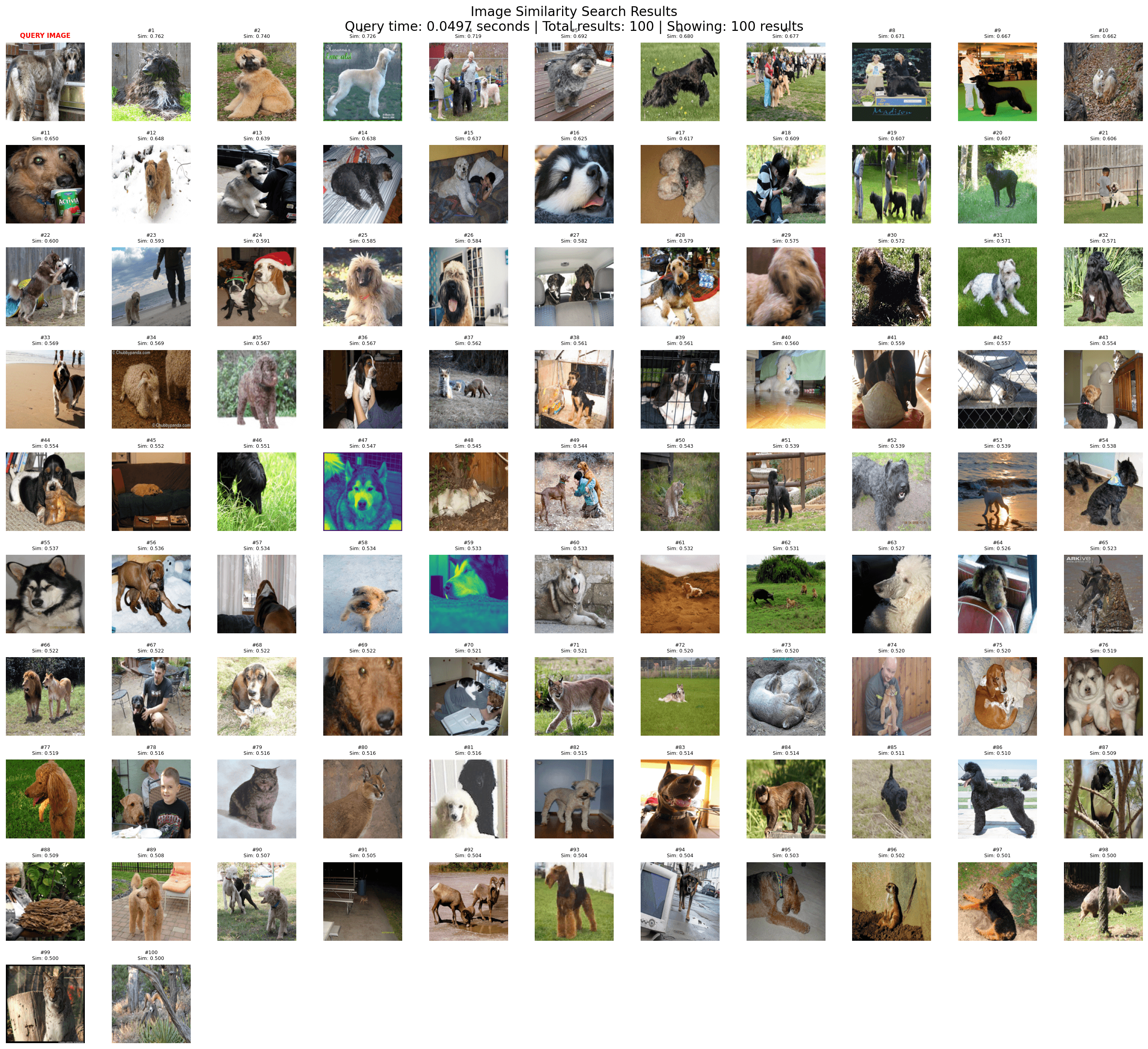 Qdrant Image Search